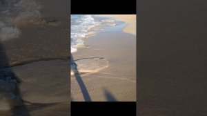 @ JAZ ALMAZA BEACH RESORT-BEACH ROCKS