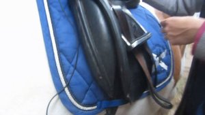 How to use the POLAR EQUINE ELECTRODE BASE with the Polar M400