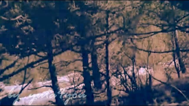 [New moon] The quileute and Bella смотреть онлайн