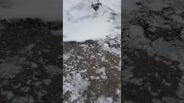 Космос ждёт папу 