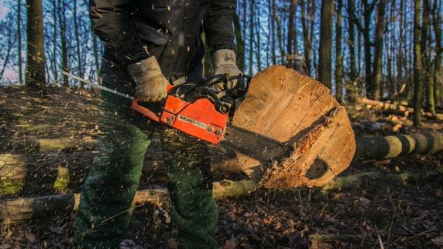 {ASMR} Chainsaw Forest Logging Cut- 1 Hour Ambience Tingle Sounds For Sleep Relax Study (NO TALKING смотреть онлайн