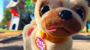 Эпическое приключение в поисках подарков от Саши и Пеппы/Sasha & Peppa Pig Epic Gift Hunt Adventure!