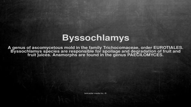 Medical vocabulary: What does Byssochlamys mean смотреть онлайн