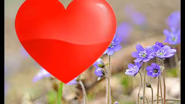 myliu tave смотреть онлайн