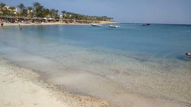 Brayka Bay Reef Resort 2019 (Anlage und Riff) смотреть онлайн