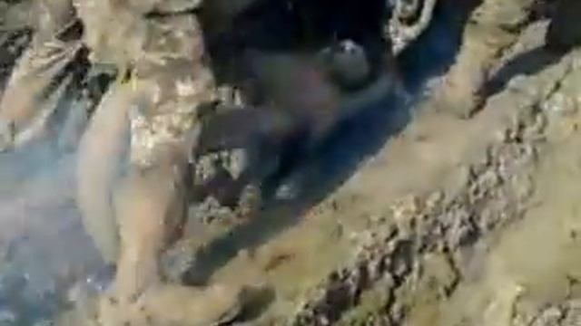 Мото в лесу (иж) смотреть онлайн