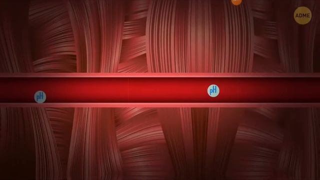 что если человек будет бежать 24 часа смотреть онлайн