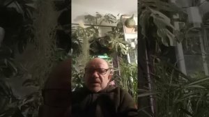 Дом Помидоров - Помидом.ру в прямом эфире!
