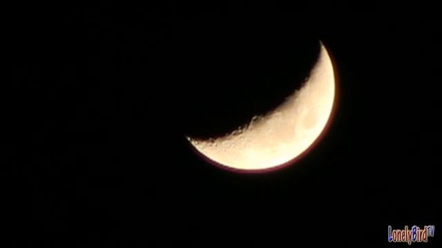 The Moon On January 16 2013 смотреть онлайн