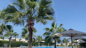 Rixos Alamein