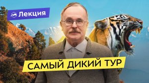 Джунгли Индии: как вместо трущоб увидеть тигра, слонов и обезьян?