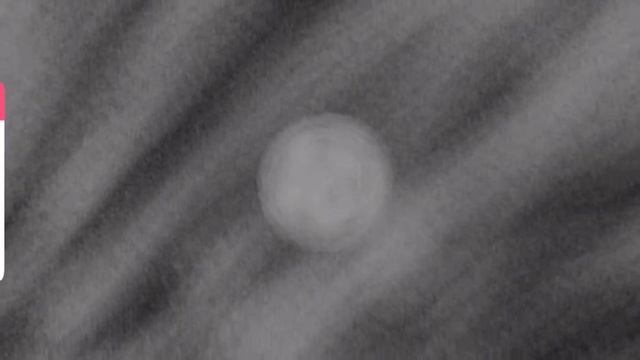 Comparison REAL scale смотреть онлайн