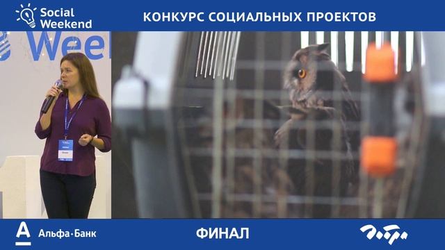 Финал Social Weekend 14 смотреть онлайн