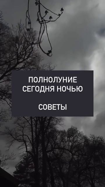 В описании #полнолуние #обряд #ритуалнасегодня