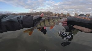 ЗНАТНЫЙ ВЫЕЗД. ПОЛОВИЛИ, ПОБОЛТАЛИ. Рыбалка в Феврале. Ловля на Спиннинг.