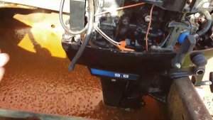 1979 Mercury 9.8hp