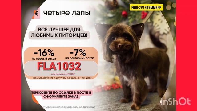 #Четырелапы #питомцы ССЫЛКА,СКИДКА- В ОПИСАНИИ