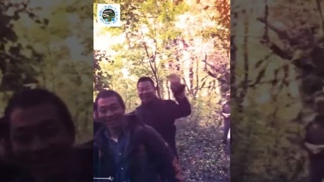 Truffle hunting Casa Mazzoni смотреть онлайн