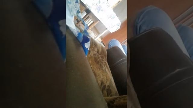 Я писяю смотреть онлайн