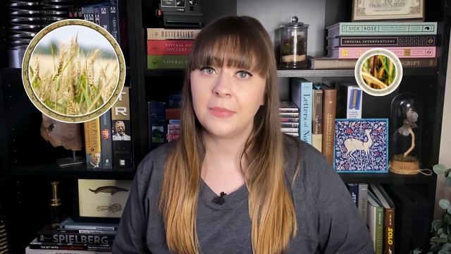 100 Facts About Earth смотреть онлайн