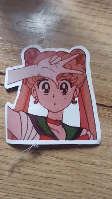 Sailor Moon,Sailor Juniper and Sailor Venera.(Сейлор Мун, Сейлор Юпитер и Сейлор Венера)