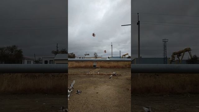 25 октября 2022 г.(3) смотреть онлайн