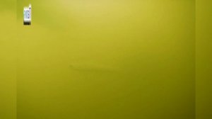 Палия, голец, форель. Реакция на раттлины.