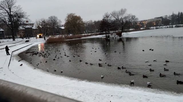 НОВОСТИ: Сильная метель Walk in Heavy Snowstorm Russia 21.11.2022 4K HDR Video 60 FPS смотреть онлайн