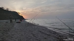 Немного творчества и история о начале ловли Пиленгаса🎣 #пеленгас#рыбалка#море