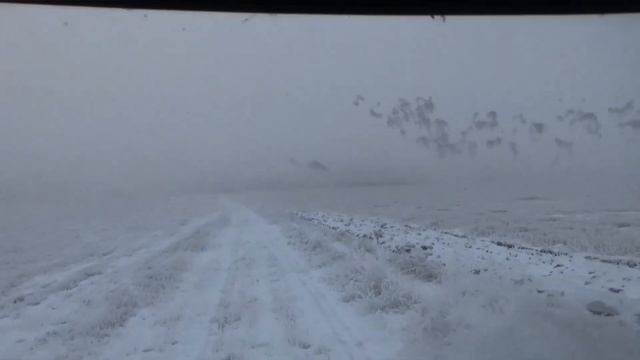 Зайцев.Net смотреть онлайн