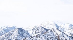 Sony FE 200–600 mm F5.6–6.3 G OSS Lens