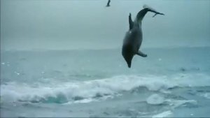 Страшное Дело с Игорем Прокопенко 2часть.