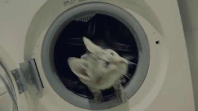 Бонечка летит на Плутон! смотреть онлайн