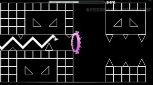 Dolphi прошел космос! (С вырезом неудачных попыток)