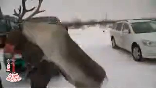 Похититель людей смотреть онлайн