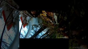 Раздолбал свой самик )