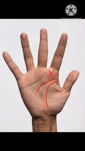 love marriage no one can stop #palmistry #shorts #lovemarriageline #vivahrekha #shortsfeed #palmist