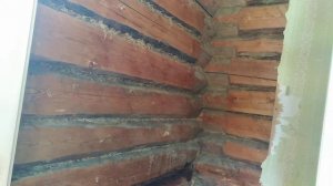 КАК ЗАЩИТИТЬ СТЕНЫ ОТ МЫШЕЙ В ДОМЕ