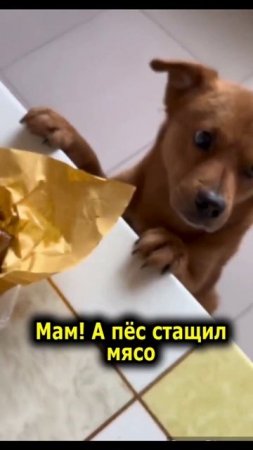 подстава