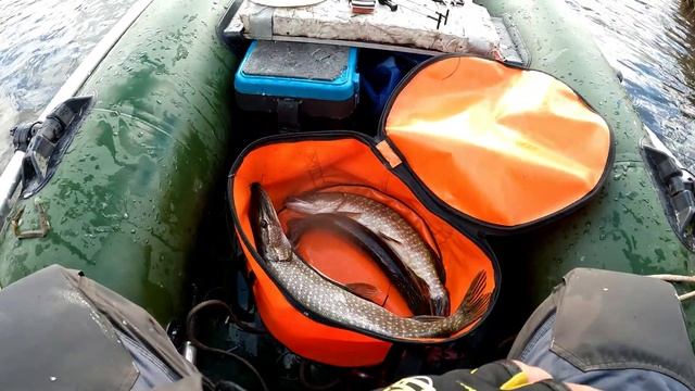 РЫБАЛКА НА ЖЕРЛИЦЫ клёвые! СРАБОТКА ЗА СРАБОТКОЙ!!! Щуки зажигают ШАРЫ! Такого клева я не ожидал... смотреть онлайн