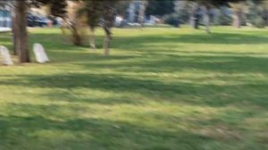 Баку, декабрь 2023, часть вторая