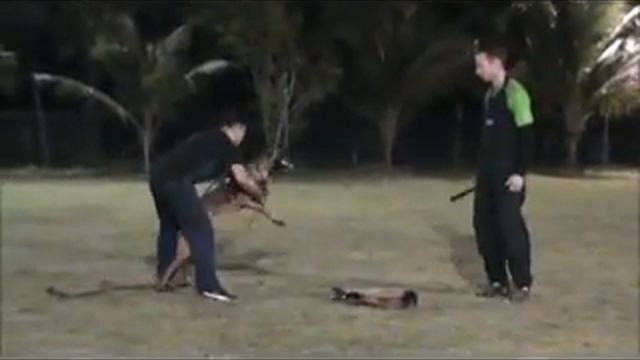 Uran von der Tigerland - 8 months - son of Mecberger Duunari смотреть онлайн