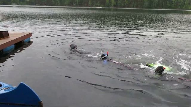 The Day of Neptune 2020 смотреть онлайн