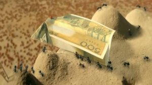 red ants vs black ants war in bahulai war