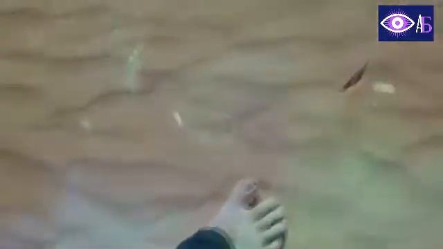 ТЫ - МОЙ смотреть онлайн