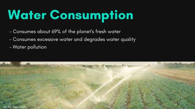 BIO 3040 Project: What are the Environmental Impacts of Agriculture? смотреть онлайн