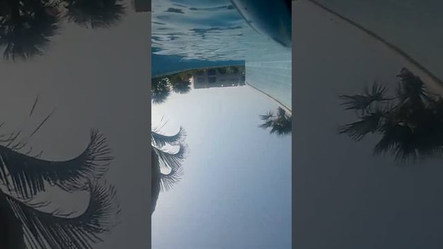 Egypt the river sataya marsa alam 🔃📲 смотреть онлайн