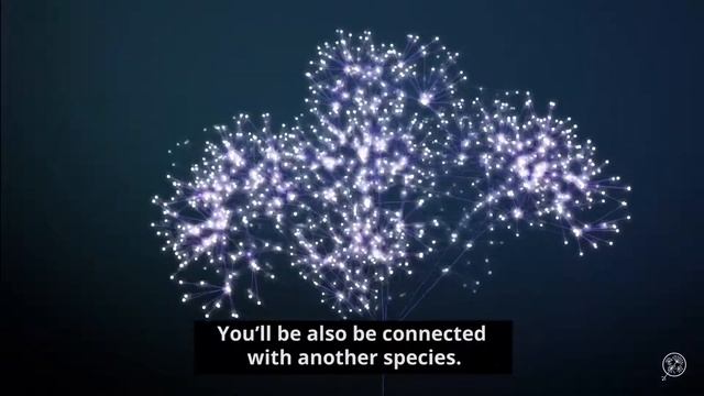 One Tree One Planet смотреть онлайн