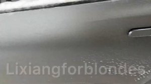 Ручки зимой у lixiang. Не забывайте продувать после мойки