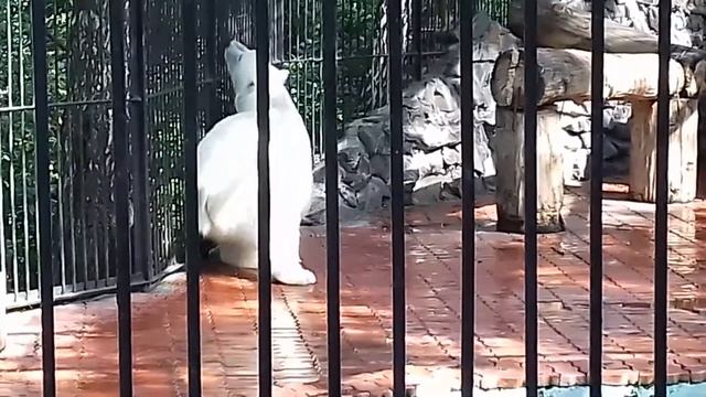 Ростик- Ростишка ,милый мальчишка ... смотреть онлайн